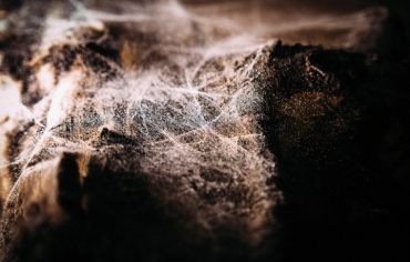 Такое не забудешь! Долгожданное Забвение наконец с нами